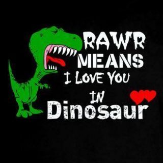 Rawr Means I Love You in Dinosaur T Rex Funny T Shirt