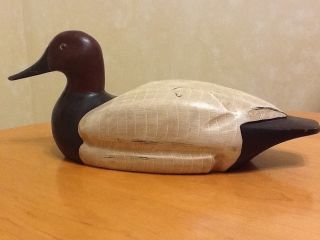 Decoy Duck by G Lowenthal