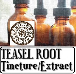 Teasel Root Tincture Extract Lyme Disease 4 Sizes