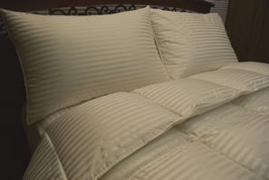Luxury Hotel 900TC Silk Goose Down Comforter Ivory King CalKing 750