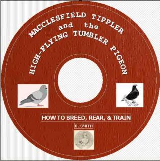 Macclesfield Tippler hgh Flying Tumbler Pigeon CD