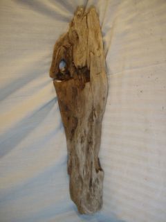 Driftwood   Reptile   Fish Mounts   Taxidermy   Floral Crafts   Rock
