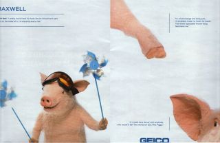 Geico Maxwell The Pig 2012 Magazine Print Ad H