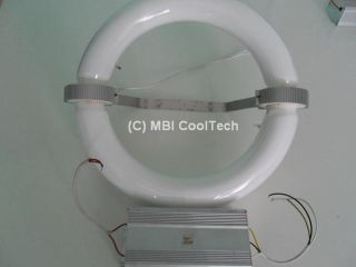 MBI Ind 300W High Efficiency Induction Lamp and Power Supply