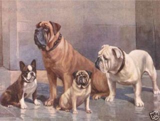 Frenchie French Bulldog Mastiff Pug Dog Print
