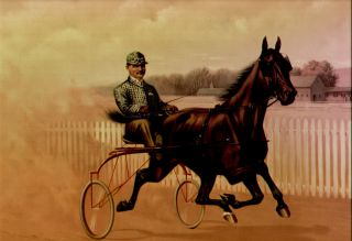 1897 Horse Trotter Print Litho