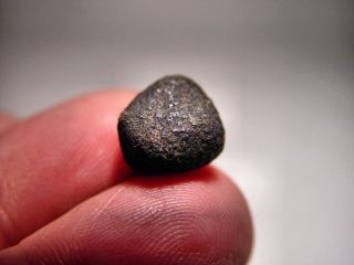 RARE Whole Crusted Baby Nuevo Mercurio Meteorite 2 Gms