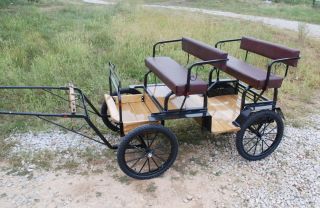  Horse Drawn Amish made 2 seat buggy for B size mini miniature horses