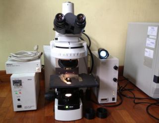 Nikon Eclipse 80i Microscope with Accessories