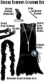 Hot Black Roaring 20s PLUS SIZE Flapper Dress Halloween Costume 1x