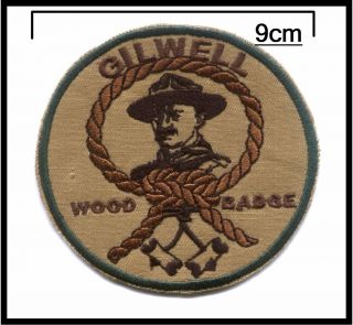 South African Scouts Baden Powell BP Gilwell Wood Badge Campfire