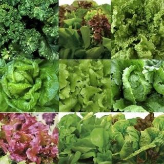 AEROGARDEN Compatible Singles  Salad Seed Kits