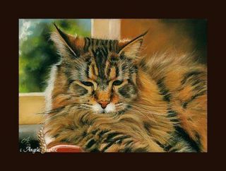 Original painting Pastel Maine Coon Cat Chat Katze Longhair Cat