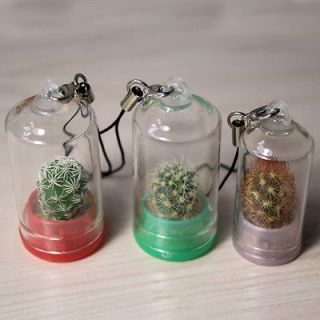 pack)Real Growable Cactus Plant In a Bottle Keychain ,Amazing Gift!