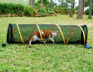 ABO GEAR Fun Run Safety Enclosure for (cats) Pets 62x17 Fresh Air