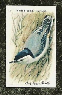 1938 Ninth Series Cow Brand Soda Card 15 White breasted Nuthatch