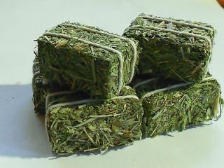 Mini Hay Bales For Farm Display or Crafts 1 5/8 Long 1:16 W/ Real