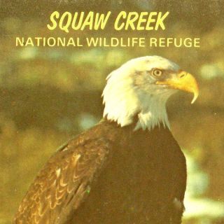 VTG Squaw Creek National Wildlife refuge POSTCARD Missouri BALD EAGLE