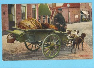 old Postcard HOLLAND 3 Dog Drawn Cart w/Wicker Baskets NETHERLAND