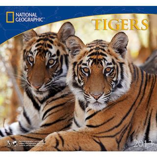 Tigers National Geographic 2013 Wall Calendar