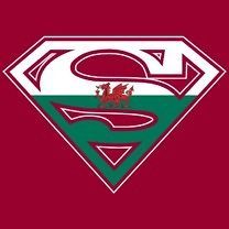 Licensed Superman Welsh Flag Wales Shield Tee Shirt Adult Sizes S 3XL