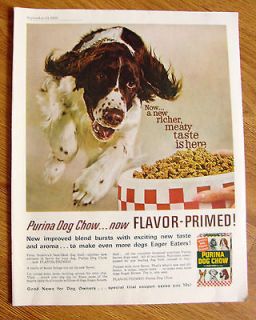 1962 Purina Dog Chow Ad Brittany Dog ?