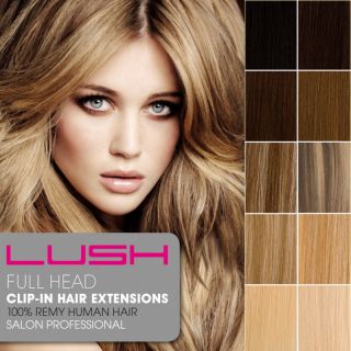 LUSH Clip In Remy Human Hair Extensions Full Head  Many Colours