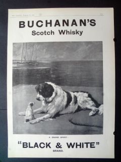 1911 buchanan black and white scotch whisky dogs at the seashore ad