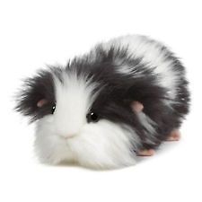 guinea pig toys in Toys & Hobbies