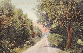 CHEBEAGUE ISLAND, MAINE me 1907 LOVERS LANE Postcard