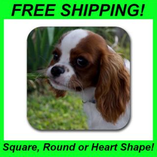 Cavalier King Charles Spaniel #2   4 Pack Coasters (Rubber)  DD1589