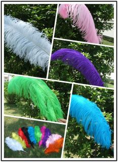 100PCS Quality Natural OSTRICH FEATHERS 10 12 inch Color Selection
