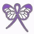 Fibrosis Awareness Month is May Purple Ribbon Butterfly Lapel Pin New