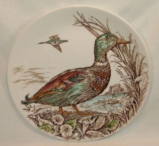 BRITISH ANCHOR China THE MALLARD Dinner Plate Wild Birds of Heath