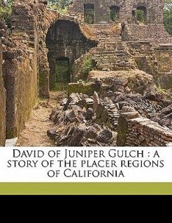 David of Juniper Gulch A Story of the Placer Regions of California