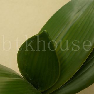 Artificial Moth Orchid Leaves Decorative Potted plant Arrangement