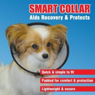 Elizabethan Dog Cat Pet Wound Healing Cone E  Collar Free Ship