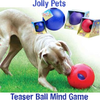 Teaser Ball Dog Mind Game  Small 4.5 TEASER BALL   Ball Inside Ball