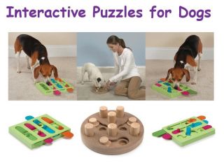 PUZZLES for DOGS   Treat Hiding Dog Toys   Great Bonding Toy Tools