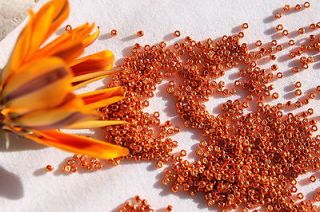 11/0 Toho Glass Seed Beads 59 Galvanized Saffron 14 grams # PF562