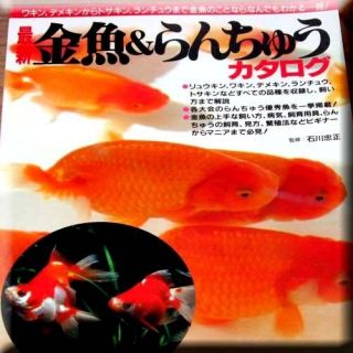 Fish Book Japanese Goldfish Ranchu Catalogue 8   mostly Ranchu