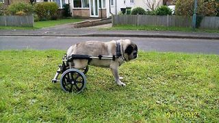 Wheels for Dogs, Dog Wheelchair UK made.
