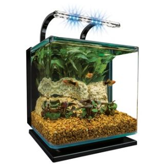 Contour Glass 3 Gallon LED Aquarium Kit, 12 L X 12 W X 12.5 H