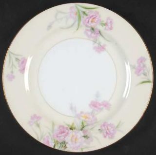 Noritake Mystery #1 Salad Plate, Fine China Dinnerware   Pink Carnations,Cream R
