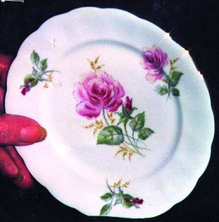 Crown Heiden Cwh3 Salad Plate, Fine China Dinnerware   Pink Roses&Buds, Scallope