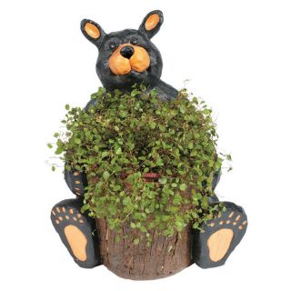 Single Bear Planter Statue Multicolor   ODR212