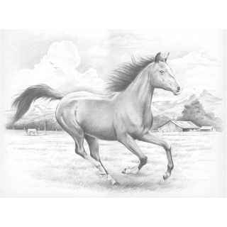 Sketching By Number Kit 11 1/2x15 1/2 galloping Horse (11 1/2x15 1/2 inches. Conforms to ASTM D4236. WARNING: CHOKING HAZARD Small Parts. Not for children under 3 years. Imported. )