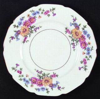 Heinrich   H&C Hc302 Dinner Plate, Fine China Dinnerware   Floral Border,White B