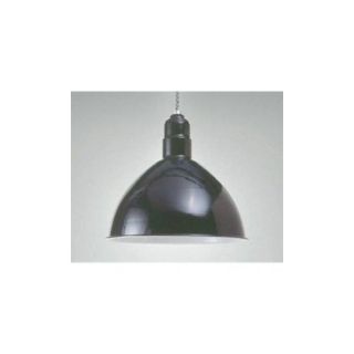 Ark Lighting AD121 Outdoor Light, 12 Hanging RLM Deep Bowl Reflector Black