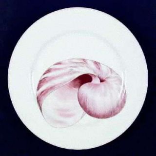 Fitz & Floyd Coquille Dinner Plate, Fine China Dinnerware   Peach Shells, White